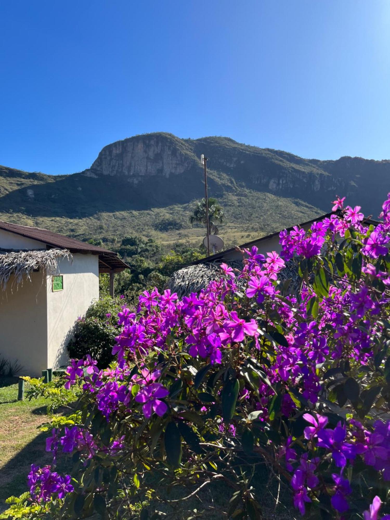 Pousada Rancho Dos Ipes Alto Paraíso de Goiás Екстериор снимка